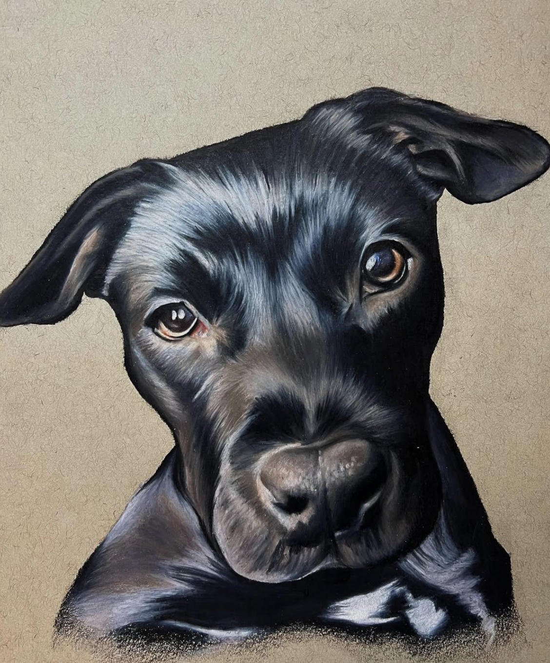 Colored pencil pet portrait by Arden Johnson