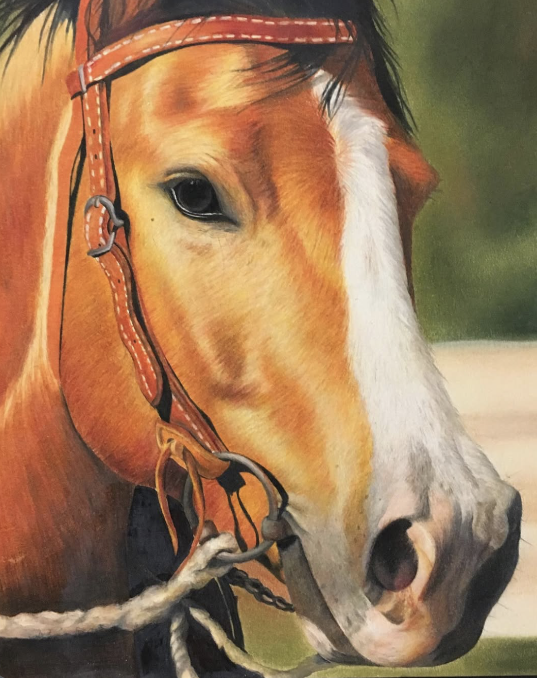 Colored pencil portrait of a chestnut horse with a white blaze
